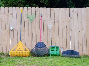 several rakes against a fence