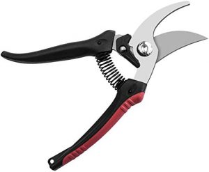 pruning shears