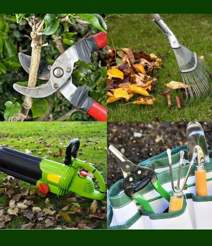 collage of lawn care