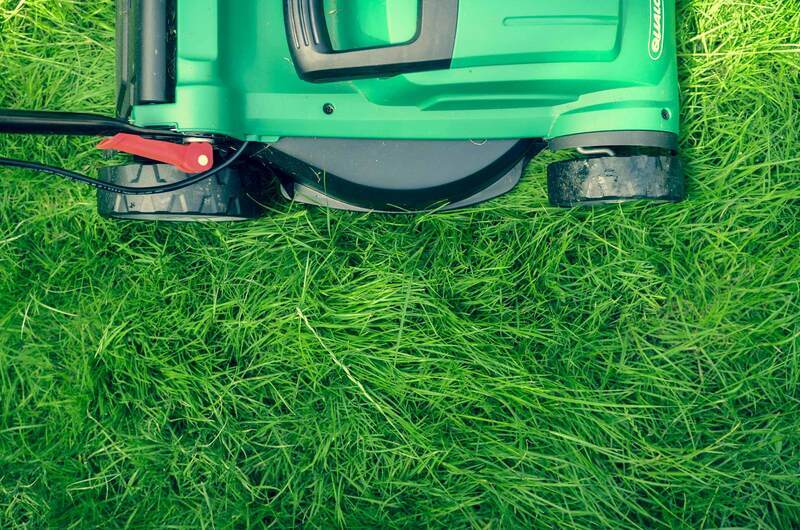 4 Lawn Care Hacks To Save You Money, 