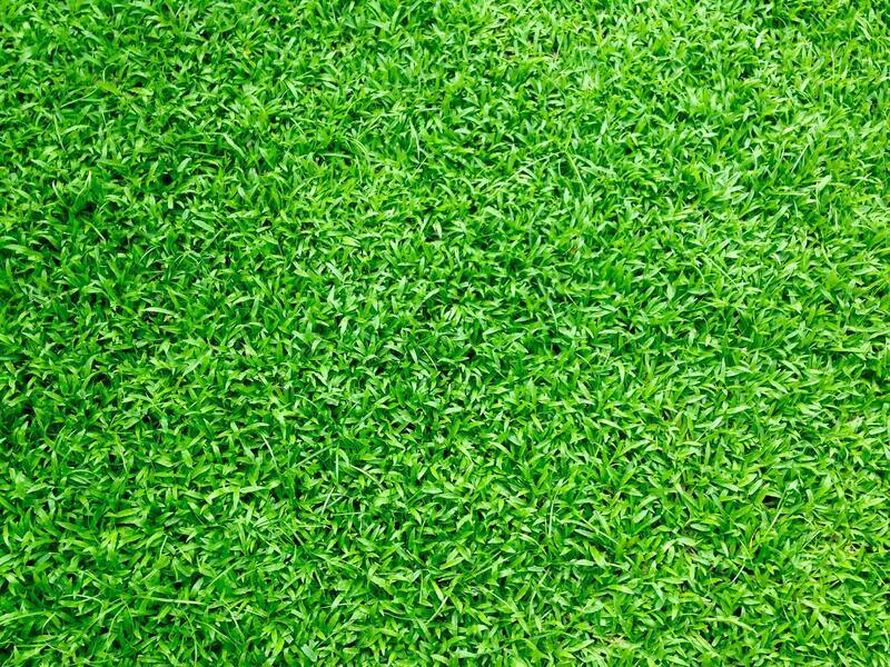 Lawn Care Calendar for Kamloops: What to Do Each Month, 