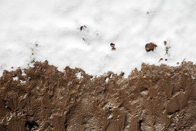 Muddy Yards, Standing Water, and Dead Grass: What Kamloops Winters Reveal About Your Landscape, 