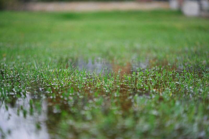 If the Same Spot Floods Every Spring, It