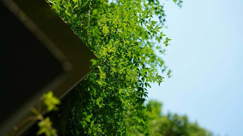 What Strata Councils and Commercial Properties in Kamloops Should Expect From a Landscaper,