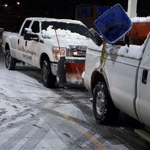 truck with a plow attached