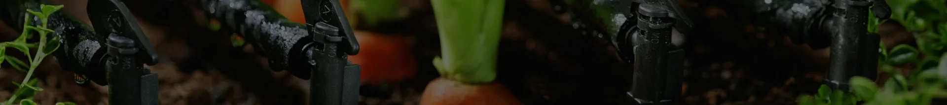 close up of a sprinkler and a carrot